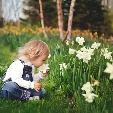 Påskeliljer - Ikke kun til påske og ikke kun gule!